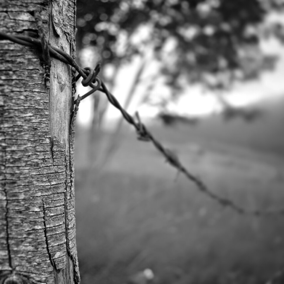 Outdoor monochrome park