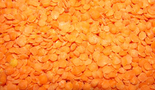 Food legume vegetarian