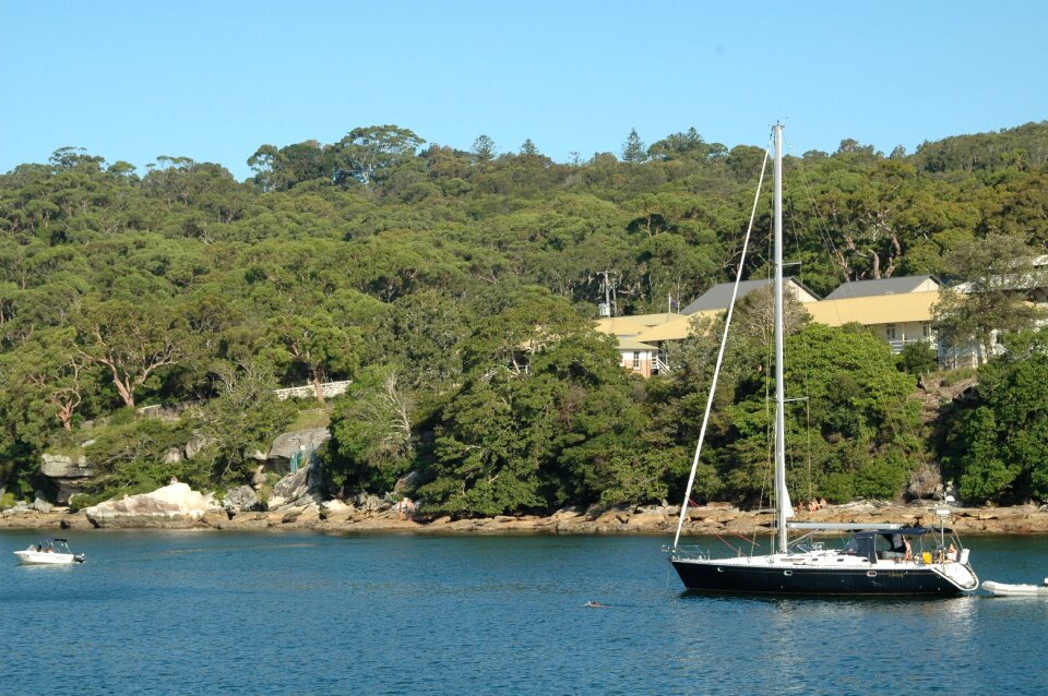Summer nature boat