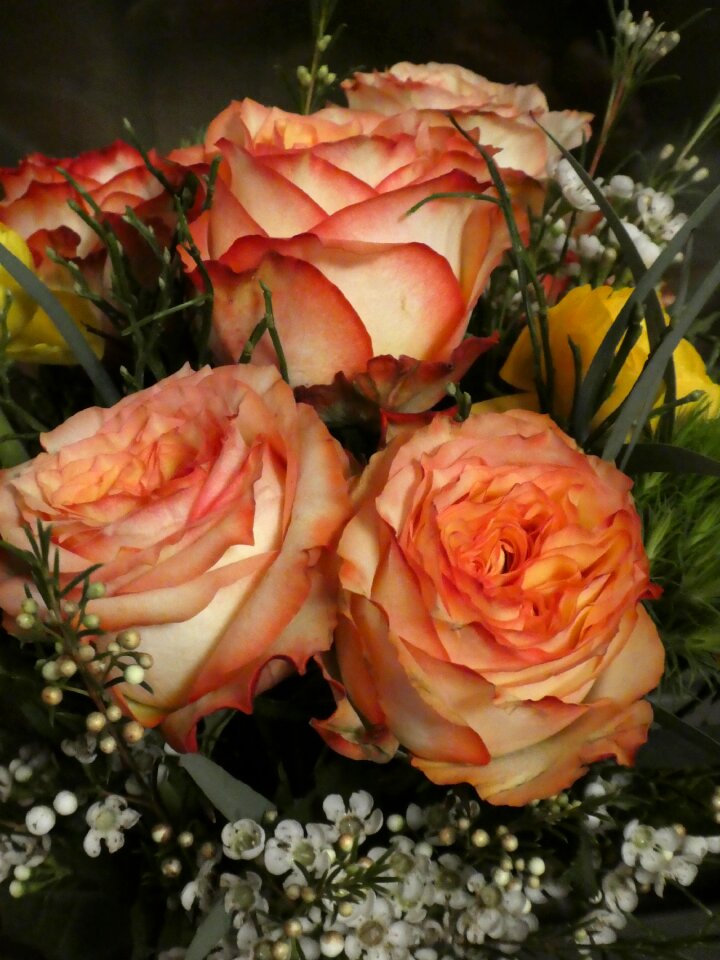 Flowers pink filled