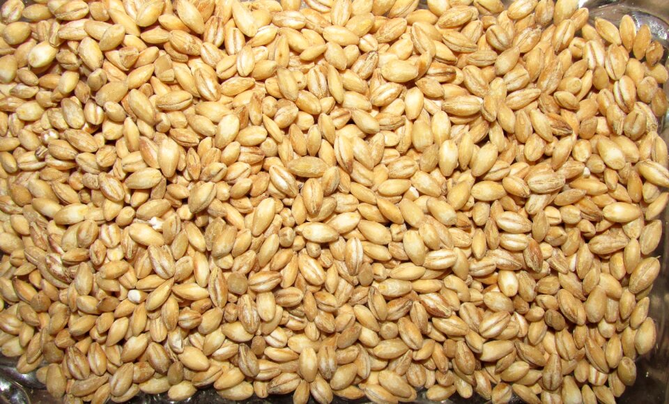 Food cereal cooking