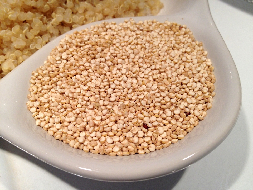 Food healthy vegetarian