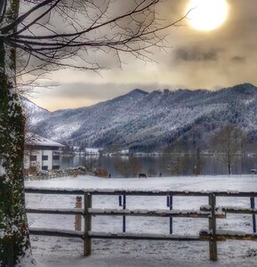 Landscape wood schliersee photo