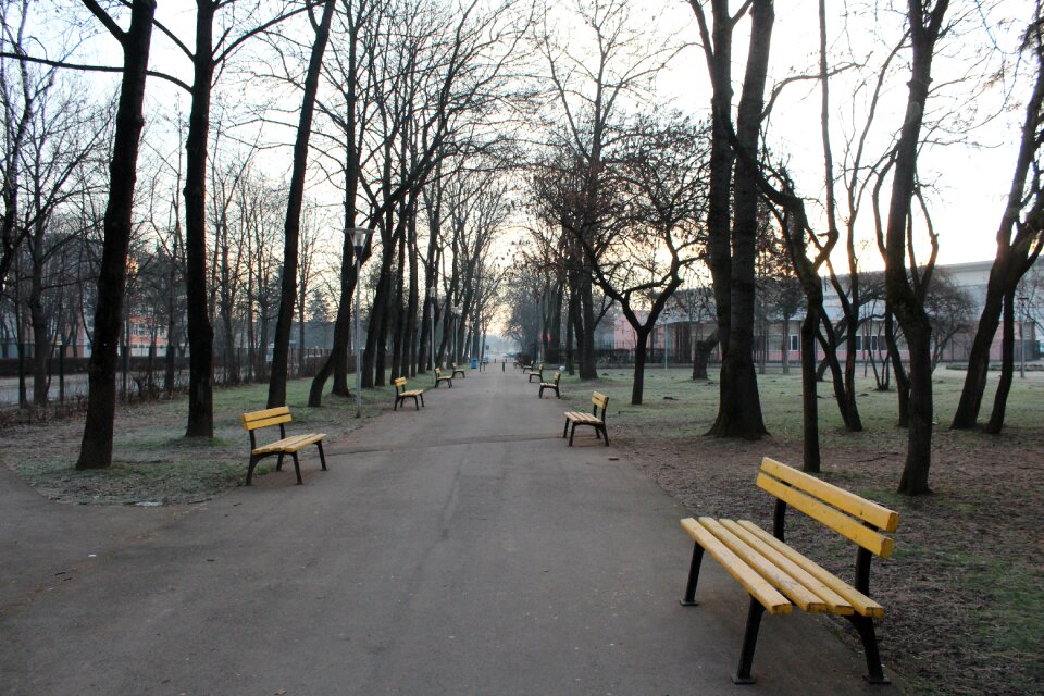 Road park nature
