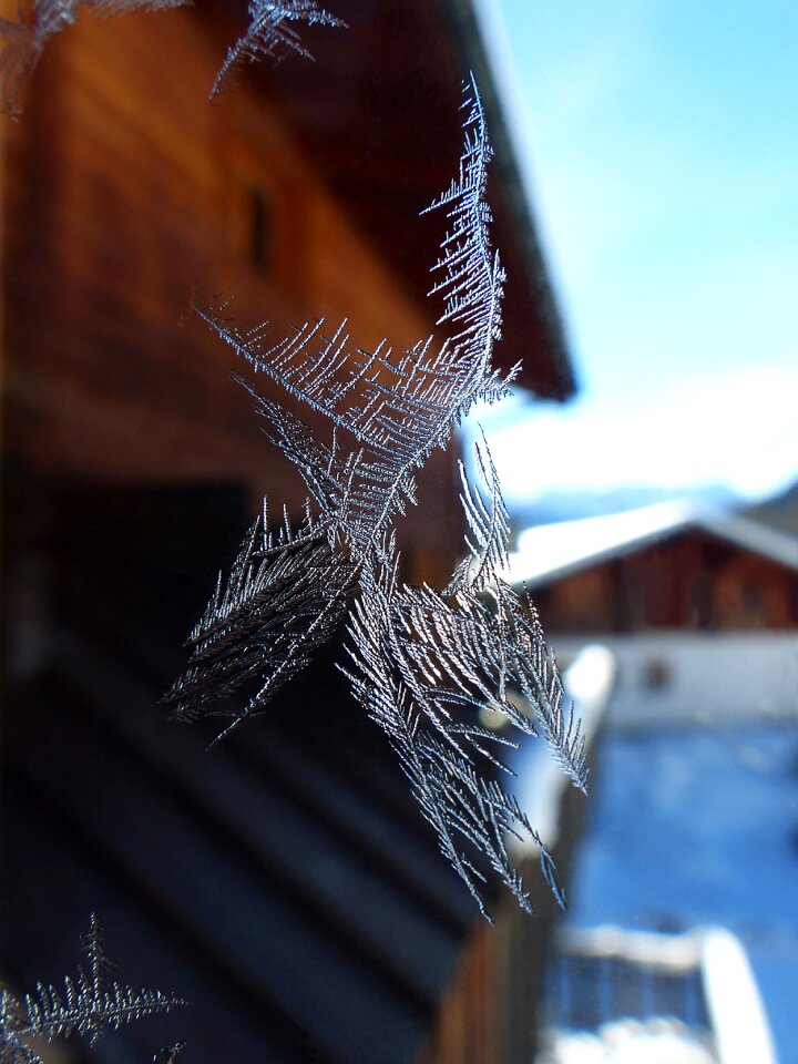 Glass winter cold