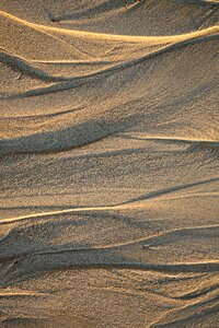 Desert nature