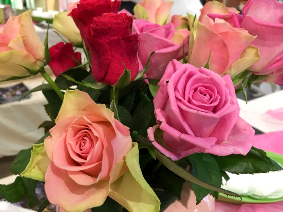 Bouquet petal floral
