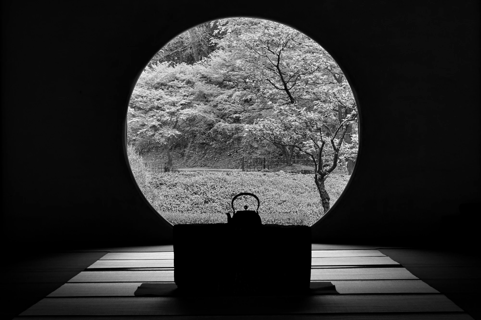 Dark zen tea shadow