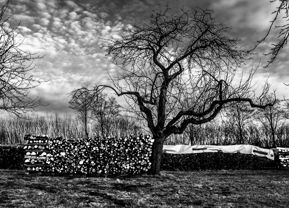 Landscape nature black and white photography