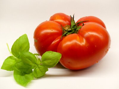 Healthy vegetables tomato photo