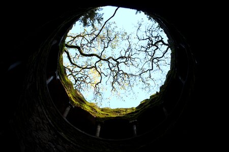 Nature trip sintra