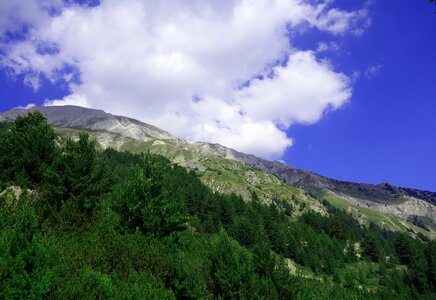 Sky landscape wood photo