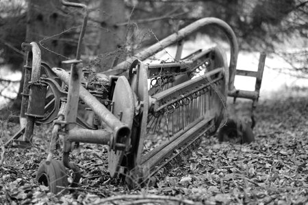 Forest iron weathered