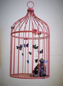 Sound imprisoned butterfly photo