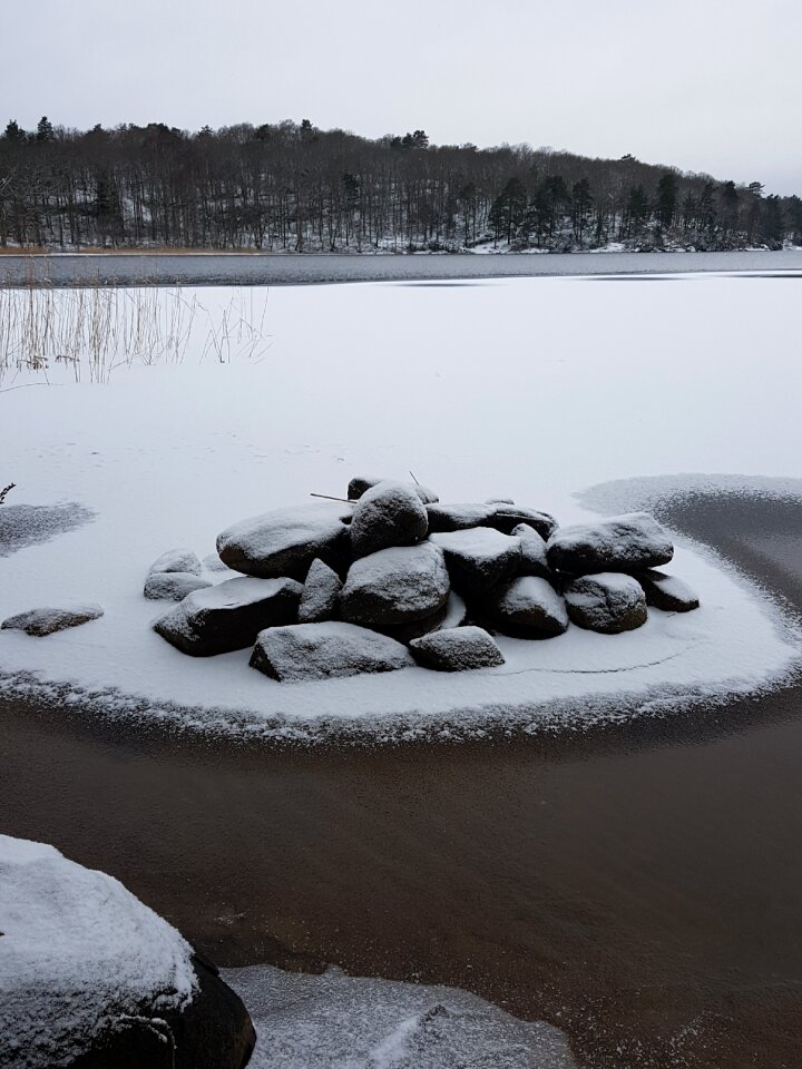 Stones reed water