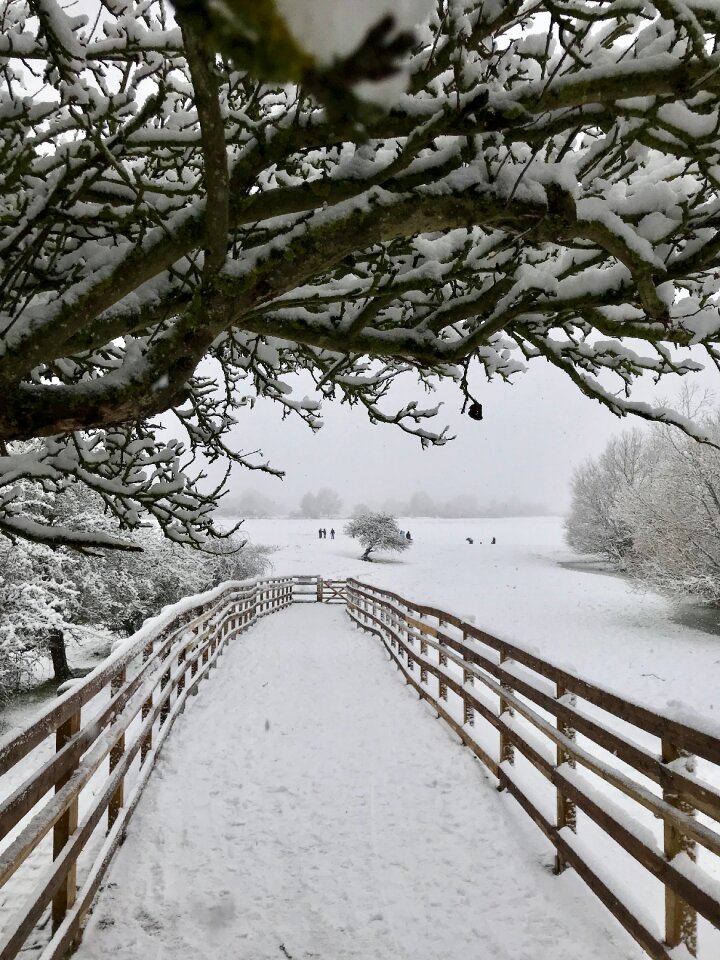 Nature season cold