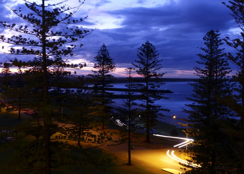 Dawn wood landscape