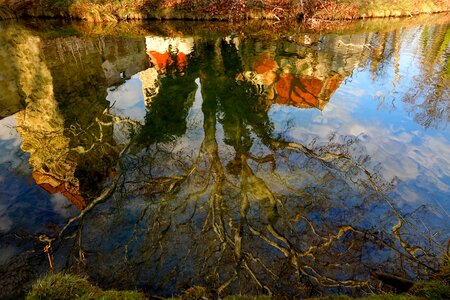 Autumn tree ruin photo