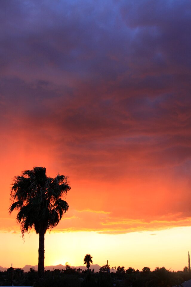 Dawn outdoors silhouette photo