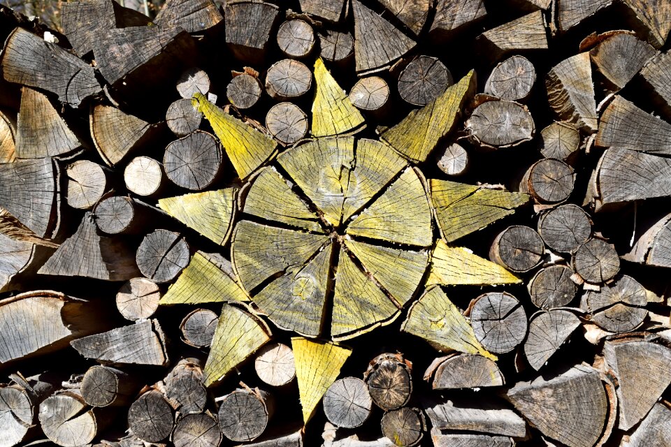 Nature closeup abstract