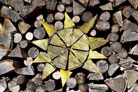Nature closeup abstract