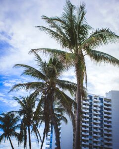 Beach sky sea