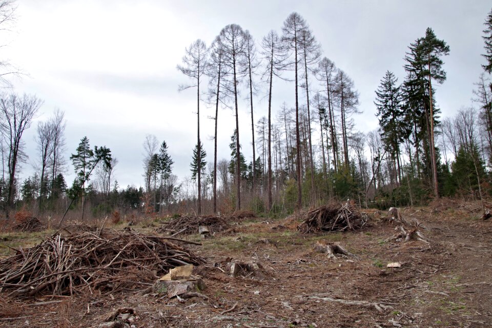 Obstacle nature landscape