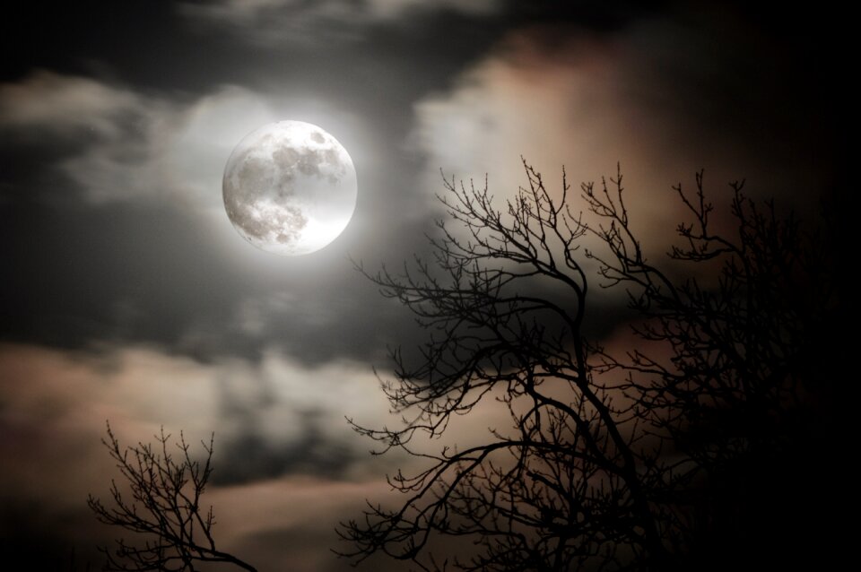 Dusk nature dark