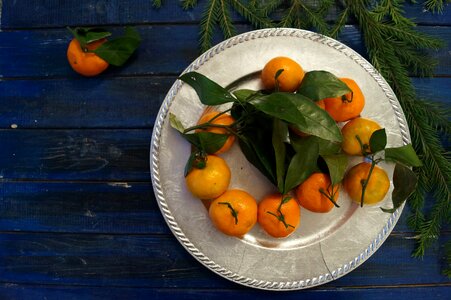 Table plate mandarin photo
