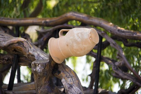 Outdoors plant pitcher