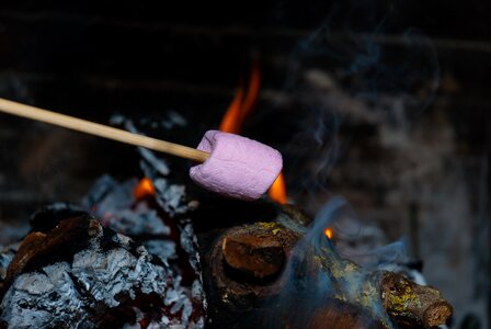 Burn nature marshmallow photo