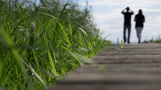 Grass travel summer