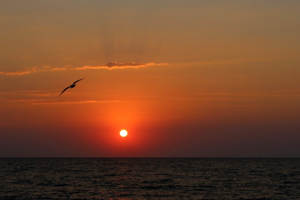 Sun sea water