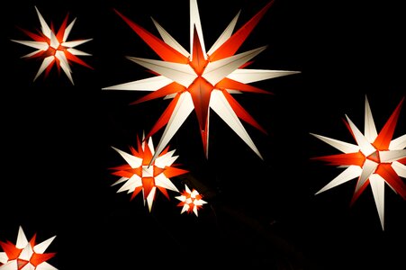 Poinsettia night deco