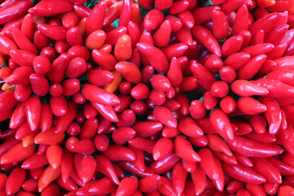Food vegetables healthy
