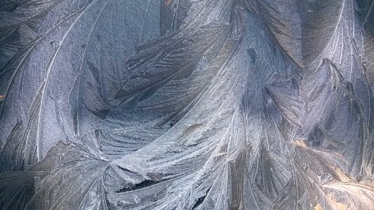 Abstract nature