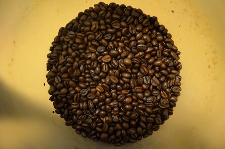 Seeds caffeine bean
