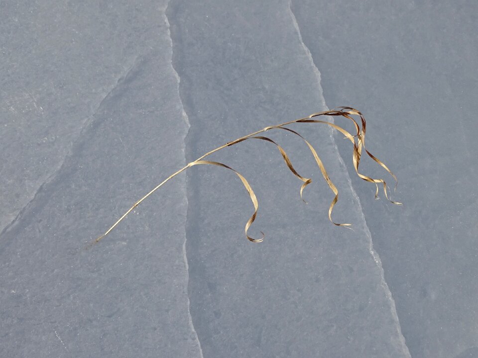 Frost cold minimalism