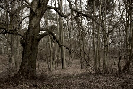 Landscape shadow season photo