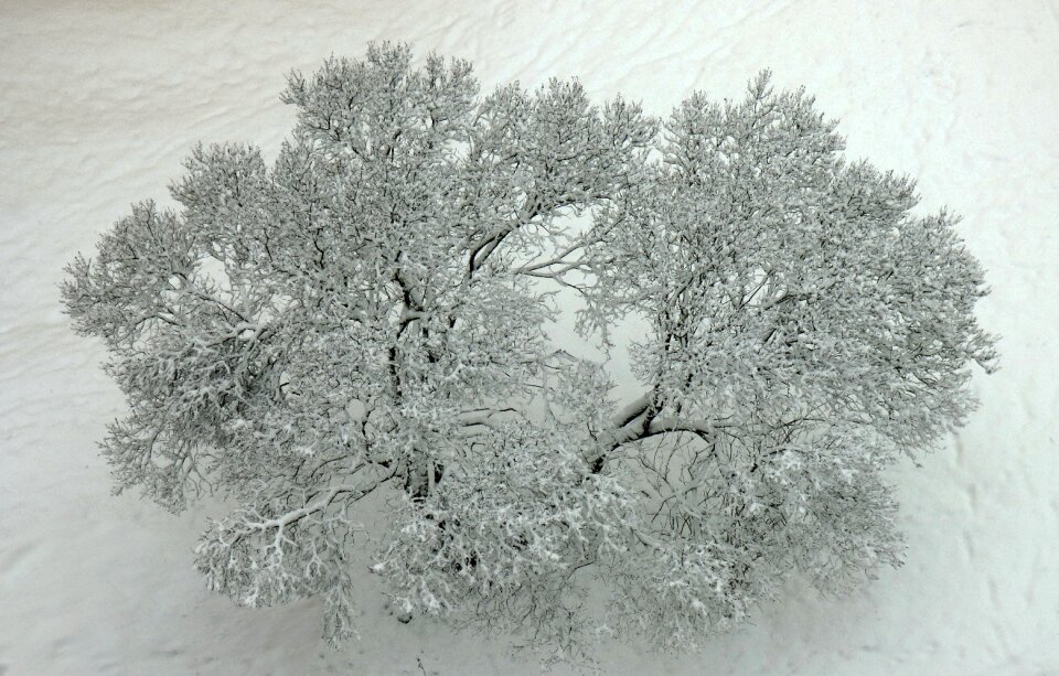 Frost slovakia nature