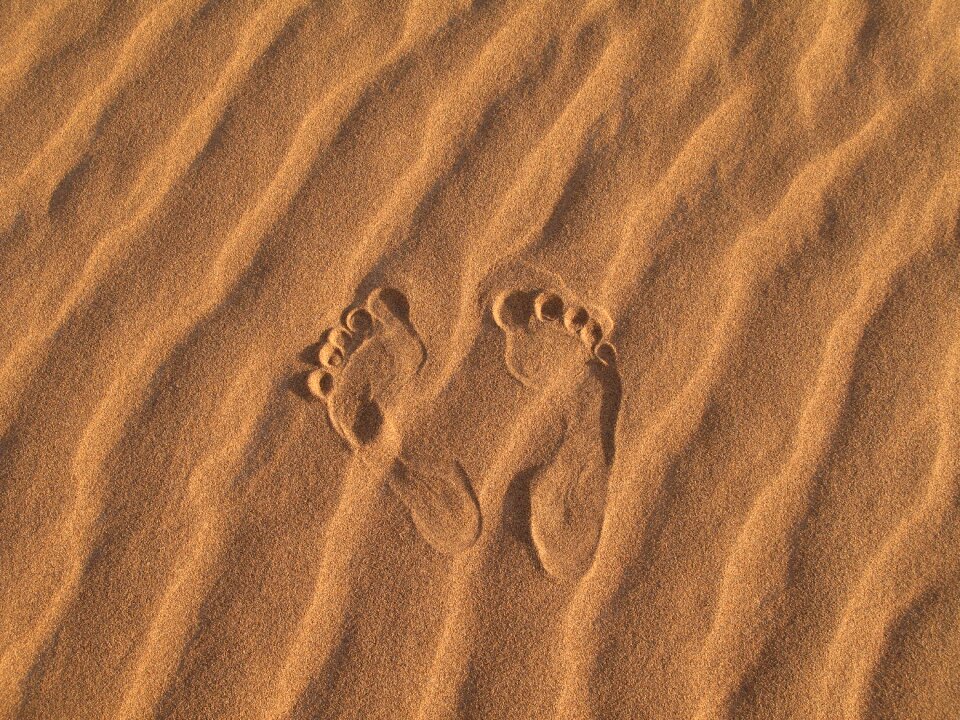 Beach dune footprint photo