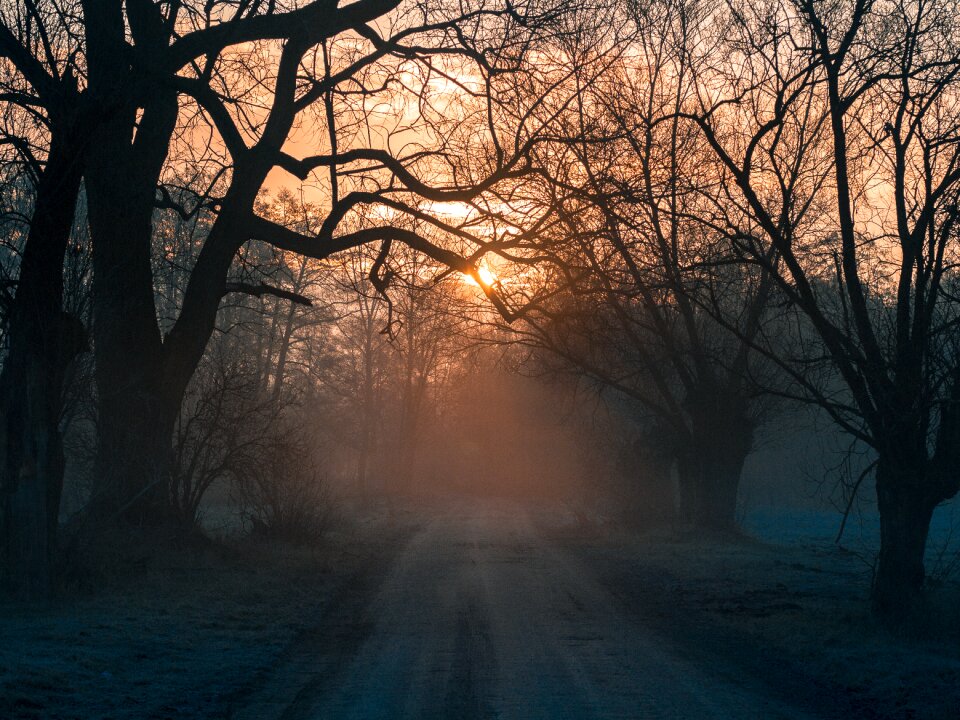 The fog haze the sun