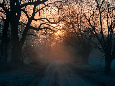 The fog haze the sun