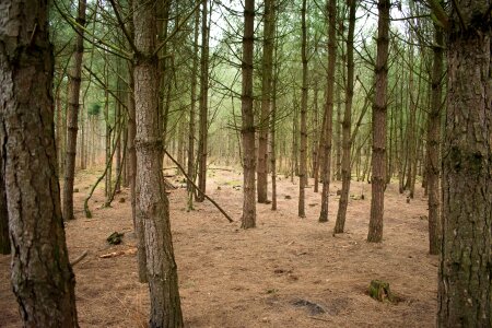 Landscape panoramic outdoors photo