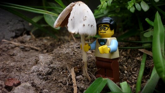 Lego fungus mushroom