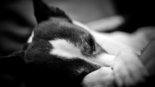 Black and white photography portrait cute