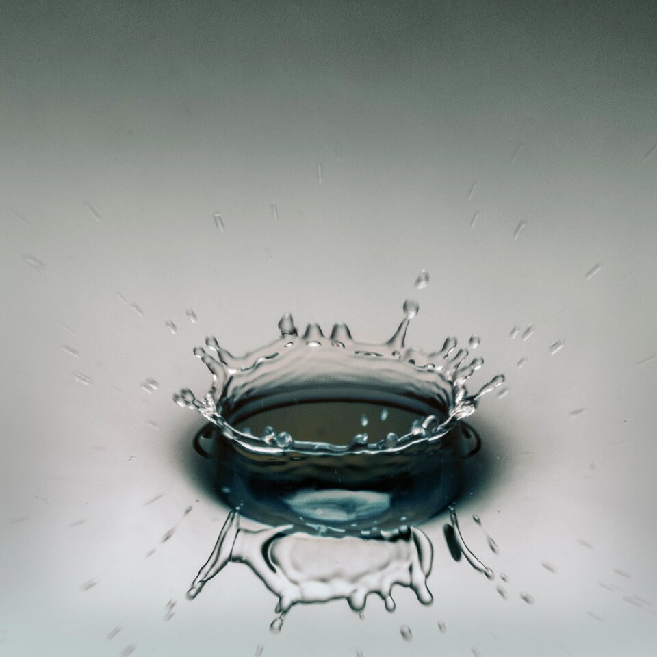 Vacuum cleaner wet liquid