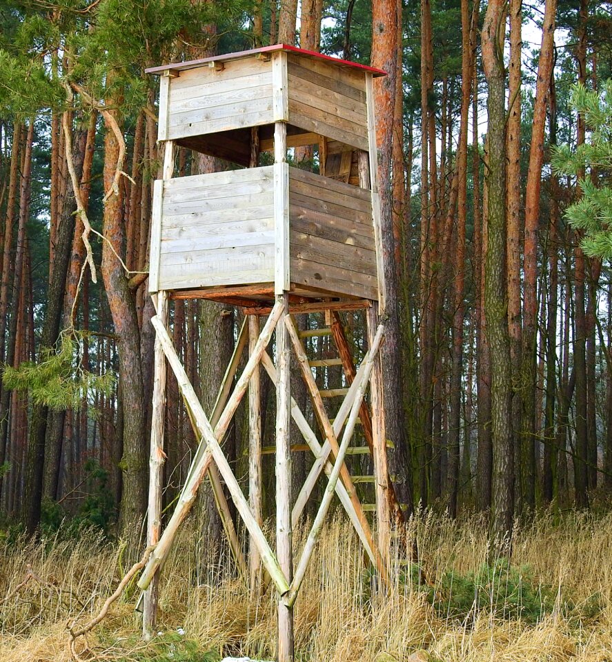 Hunting pulpit forest lookout