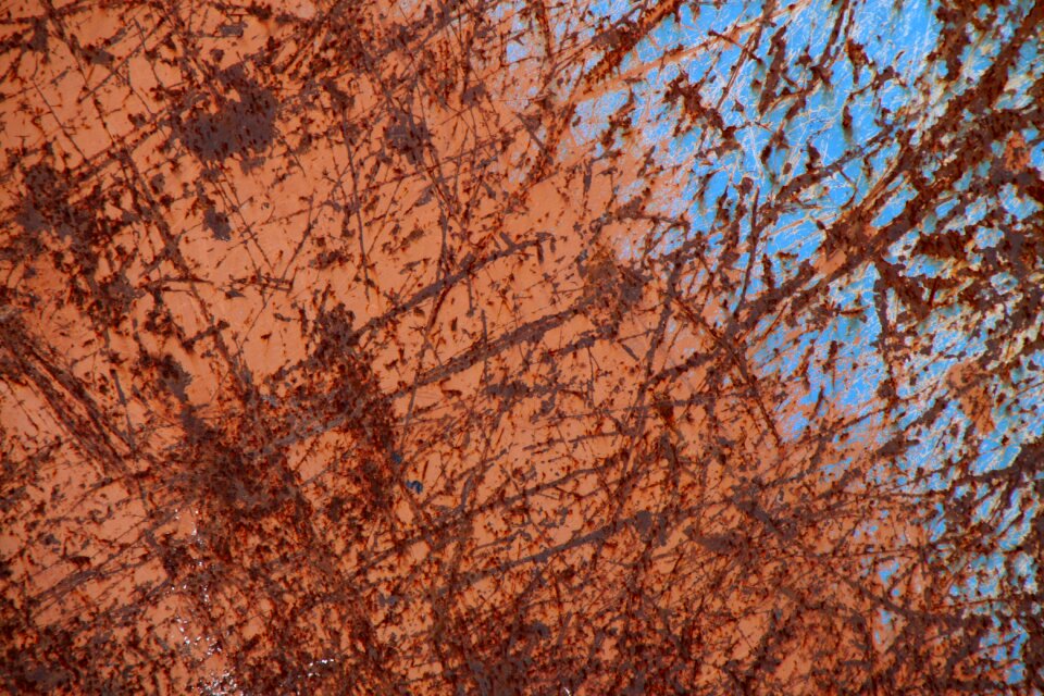 Old lake dusia texture