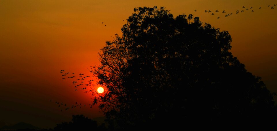 Sun silhouette sunset photo